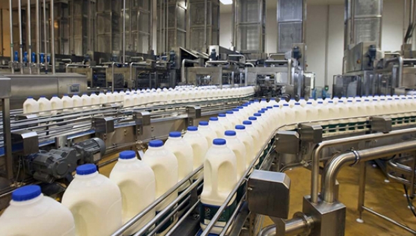 Себестоимость производства молока в РФ подорожала на 18%