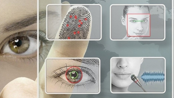 Минцифры активно тестирует применение биометрической идентификации для получения госуслуг