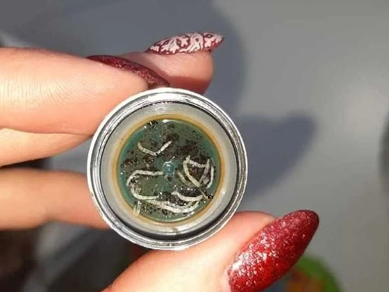 Жители города Мыски Кемеровской области обнаружили червей в водопроводе