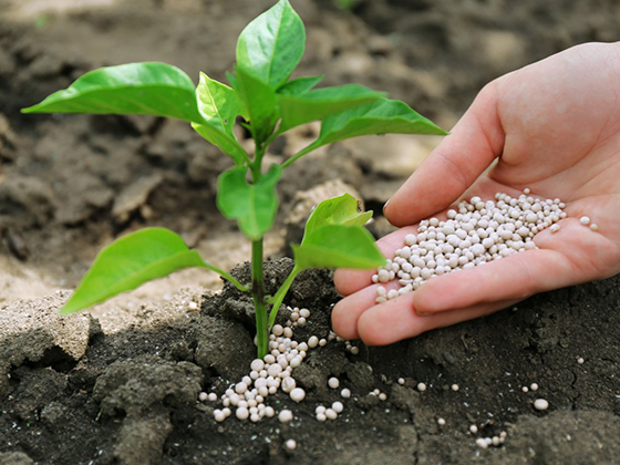 Минсельхоз допустил регулирование цен на минеральные удобрения