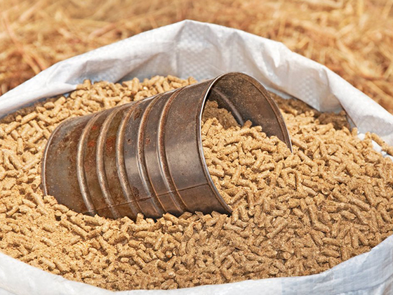 Ввоз кормов и кормовых добавок из США ограничен со 2 марта 