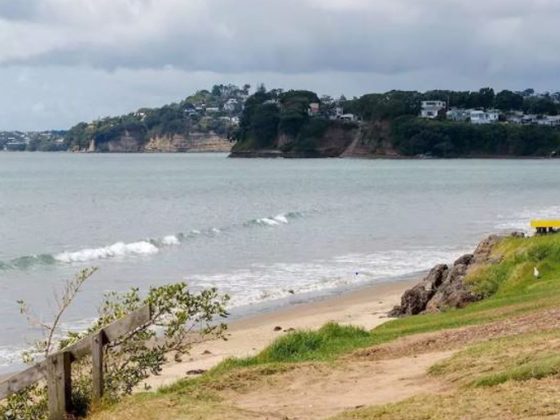 Землетрясение магнитудой 8,1 балла зарегистрировано около Новой Зеландии