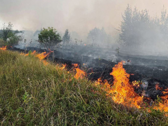 В Свердловской области площадь пожаров выросла более чем в шесть раз